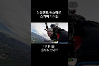 1763898608 maxresdefault infoshare - nz immigration news / 뉴질랜드 이민정보