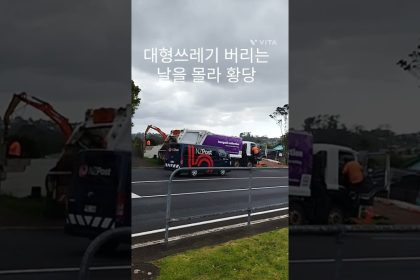 1763977212 maxresdefault infoshare - nz immigration news / 뉴질랜드 이민정보