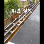 1764240010 maxresdefault infoshare - nz immigration news / 뉴질랜드 이민정보