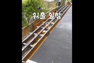1764240010 maxresdefault infoshare - nz immigration news / 뉴질랜드 이민정보