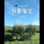 1764246009 maxresdefault infoshare - nz immigration news / 뉴질랜드 이민정보