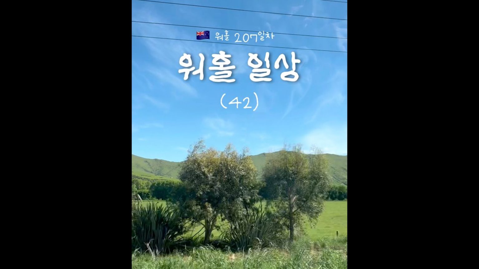 1764246009 maxresdefault infoshare - nz immigration news / 뉴질랜드 이민정보