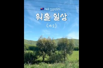 1764246009 maxresdefault infoshare - nz immigration news / 뉴질랜드 이민정보