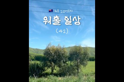 1764246009 maxresdefault infoshare - nz immigration news / 뉴질랜드 이민정보