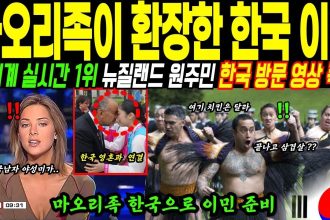 1764319809 maxresdefault infoshare - nz immigration news / 뉴질랜드 이민정보