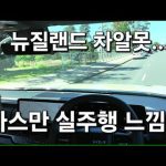1764576012 hqdefault infoshare - nz immigration news / 뉴질랜드 이민정보
