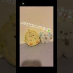 1764750613 maxresdefault infoshare - nz immigration news / 뉴질랜드 이민정보