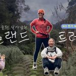 1764761413 maxresdefault infoshare - nz immigration news / 뉴질랜드 이민정보