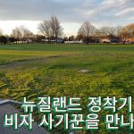 1764836408 maxresdefault infoshare - nz immigration news / 뉴질랜드 이민정보