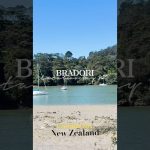 1765105210 maxresdefault infoshare - nz immigration news / 뉴질랜드 이민정보