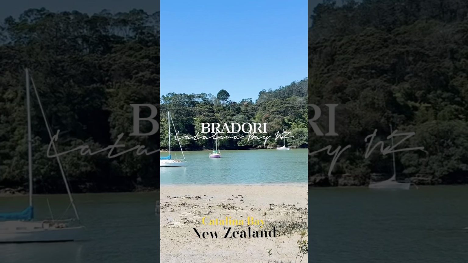 1765105210 maxresdefault infoshare - nz immigration news / 뉴질랜드 이민정보