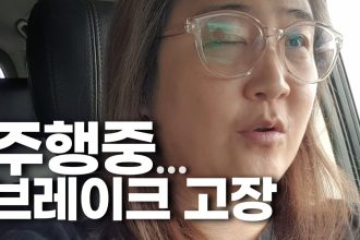 1765365609 maxresdefault infoshare - nz immigration news / 뉴질랜드 이민정보