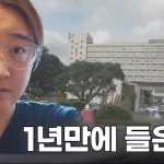 1765366810 maxresdefault infoshare - nz immigration news / 뉴질랜드 이민정보