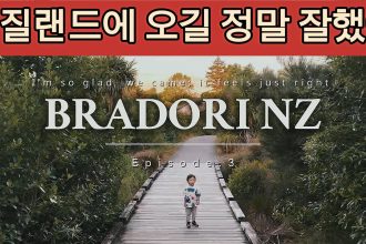 1765478410 maxresdefault infoshare - nz immigration news / 뉴질랜드 이민정보