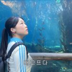 1765528809 maxresdefault infoshare - nz immigration news / 뉴질랜드 이민정보
