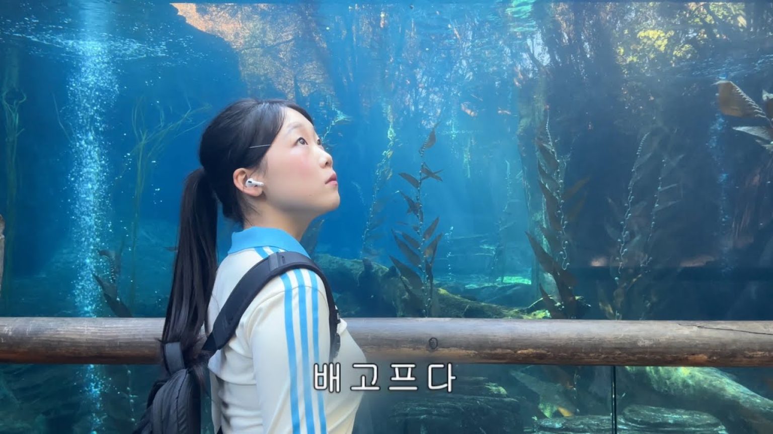 1765528809 maxresdefault infoshare - nz immigration news / 뉴질랜드 이민정보