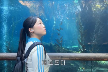 1765528809 maxresdefault infoshare - nz immigration news / 뉴질랜드 이민정보