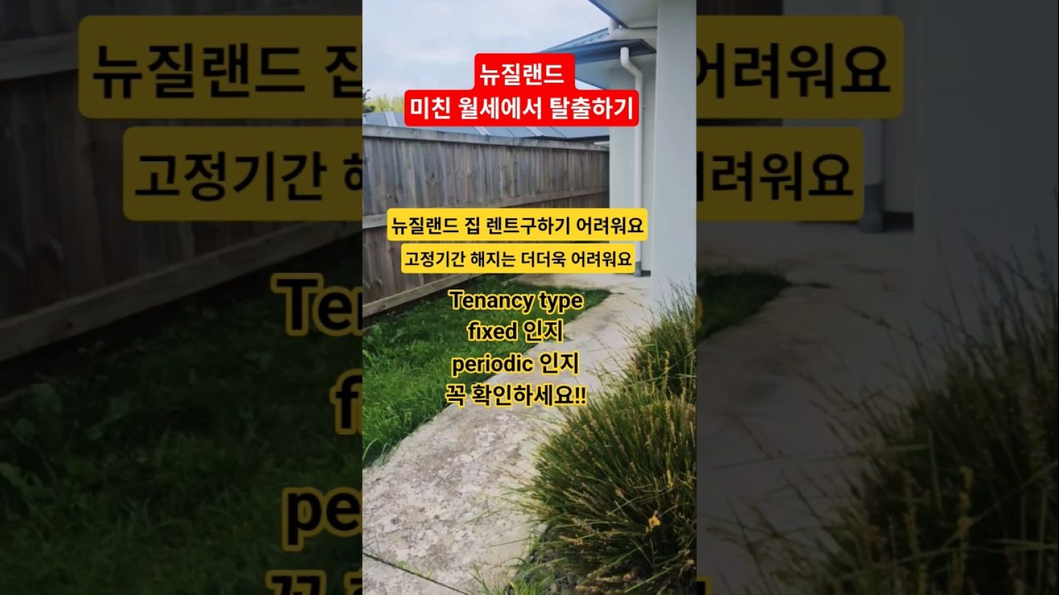 1765553409 maxresdefault infoshare - nz immigration news / 뉴질랜드 이민정보