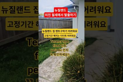 1765553409 maxresdefault infoshare - nz immigration news / 뉴질랜드 이민정보