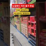 1765708811 maxresdefault infoshare - nz immigration news / 뉴질랜드 이민정보