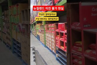 1765708811 maxresdefault infoshare - nz immigration news / 뉴질랜드 이민정보