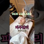 1765802409 maxresdefault infoshare - nz immigration news / 뉴질랜드 이민정보