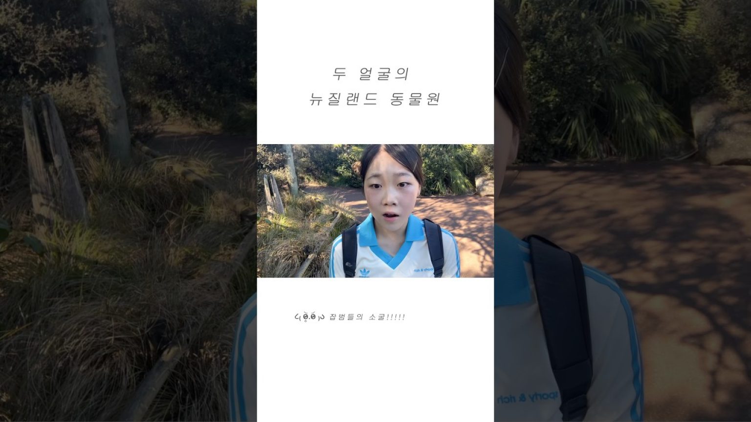 1766045409 maxresdefault infoshare - nz immigration news / 뉴질랜드 이민정보