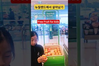 1766055610 maxresdefault infoshare - nz immigration news / 뉴질랜드 이민정보
