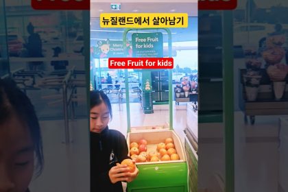 1766055610 maxresdefault infoshare - nz immigration news / 뉴질랜드 이민정보