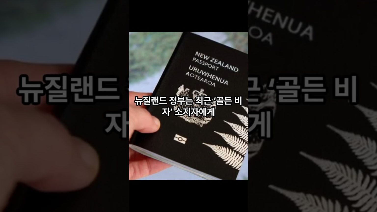 1766140208 maxresdefault infoshare - nz immigration news / 뉴질랜드 이민정보