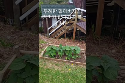 1766142608 maxresdefault infoshare - nz immigration news / 뉴질랜드 이민정보