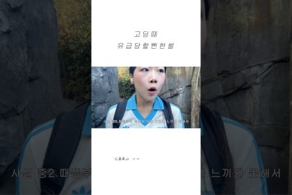 1766736610 maxresdefault infoshare - nz immigration news / 뉴질랜드 이민정보