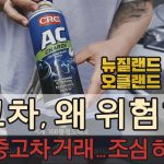 1766777410 maxresdefault infoshare - nz immigration news / 뉴질랜드 이민정보