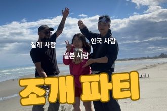 1766834409 maxresdefault infoshare - nz immigration news / 뉴질랜드 이민정보