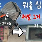 1767002411 maxresdefault infoshare - nz immigration news / 뉴질랜드 이민정보