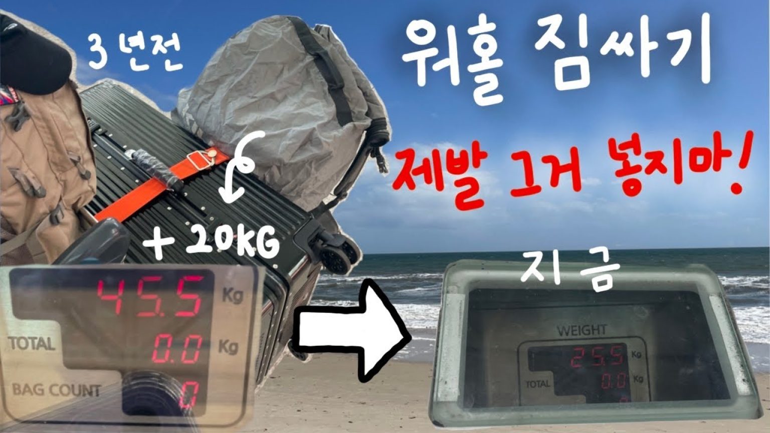 1767002411 maxresdefault infoshare - nz immigration news / 뉴질랜드 이민정보