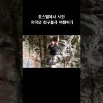 1767082210 maxresdefault infoshare - nz immigration news / 뉴질랜드 이민정보