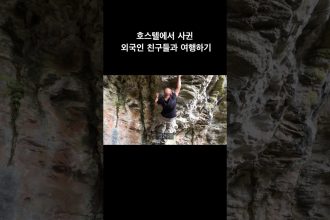 1767082210 maxresdefault infoshare - nz immigration news / 뉴질랜드 이민정보