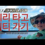 1767354611 hqdefault infoshare - nz immigration news / 뉴질랜드 이민정보