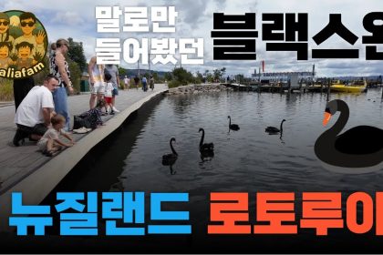 1767367810 maxresdefault infoshare - nz immigration news / 뉴질랜드 이민정보