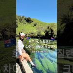 1767434412 maxresdefault infoshare - nz immigration news / 뉴질랜드 이민정보