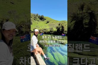 1767434412 maxresdefault infoshare - nz immigration news / 뉴질랜드 이민정보