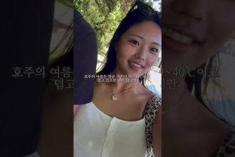 1767514812 maxresdefault infoshare - nz immigration news / 뉴질랜드 이민정보