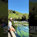 1767607810 maxresdefault infoshare - nz immigration news / 뉴질랜드 이민정보