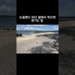1767874809 maxresdefault infoshare - nz immigration news / 뉴질랜드 이민정보