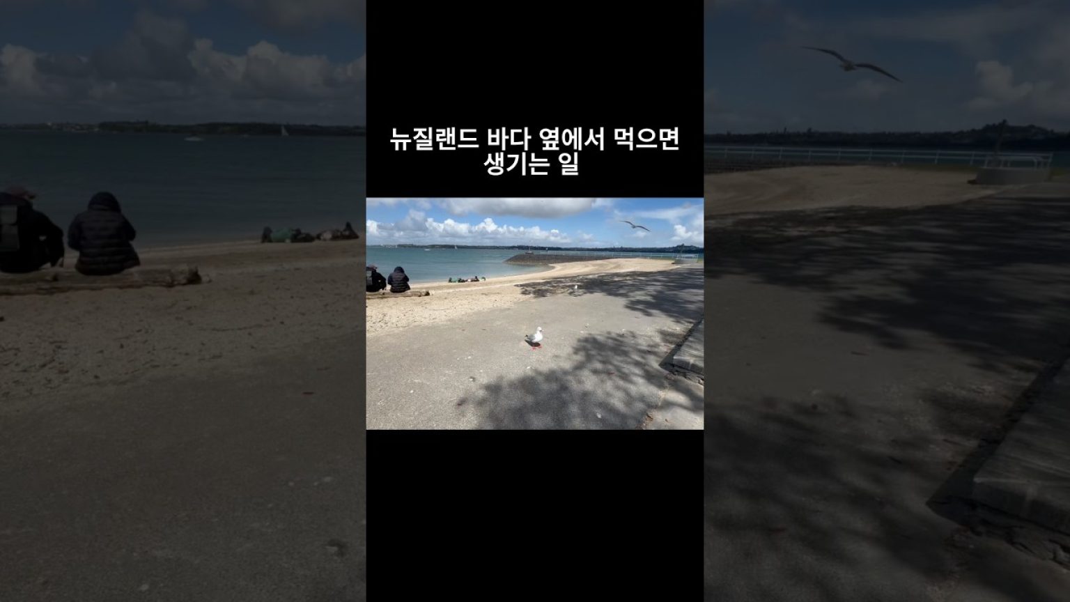 1767874809 maxresdefault infoshare - nz immigration news / 뉴질랜드 이민정보