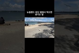 1767874809 maxresdefault infoshare - nz immigration news / 뉴질랜드 이민정보
