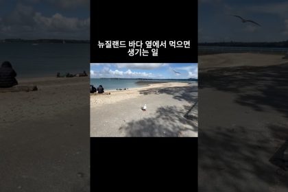 1767874809 maxresdefault infoshare - nz immigration news / 뉴질랜드 이민정보