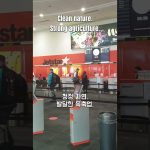 1767966613 maxresdefault infoshare - nz immigration news / 뉴질랜드 이민정보