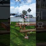 1768119010 maxresdefault infoshare - nz immigration news / 뉴질랜드 이민정보